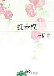 抚养权律师咨询免费