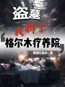 盗墓我拆了格尔木疗养院正版