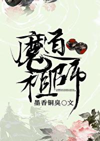 魔道祖师全集免费观看高清